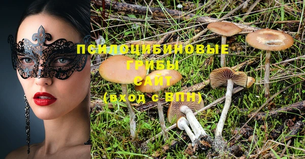 мяу мяу мука Алзамай