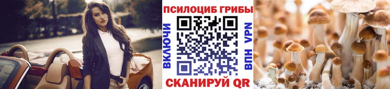Псилоцибиновые грибы Psilocybine cubensis  закладки  Коломна 