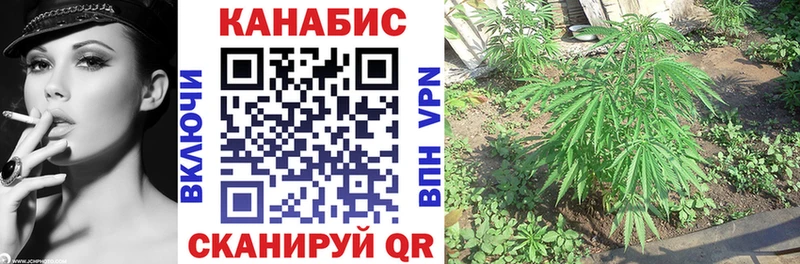 kraken ССЫЛКА  Коломна  Бошки марихуана конопля  купить закладку 